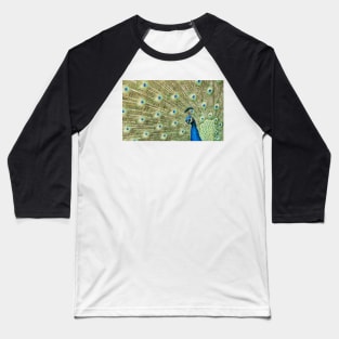 Peacock Display Baseball T-Shirt